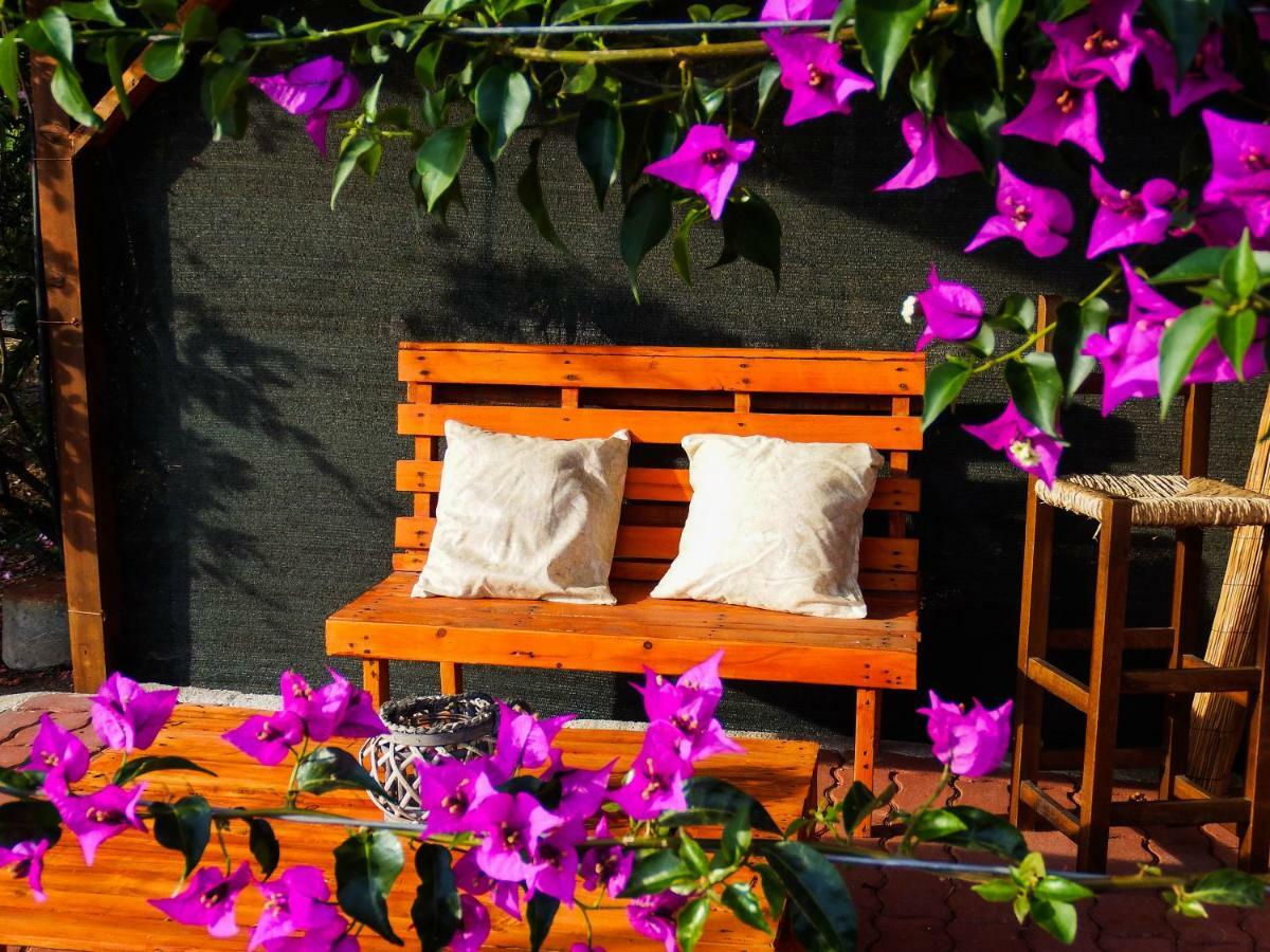 B&B Cala Dolce Alghero Exterior photo